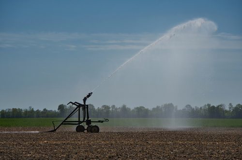 riego agricultura