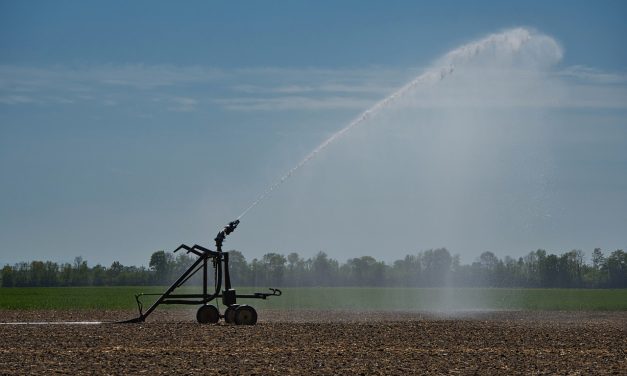 Avances para un Plan Estratégico para el Uso del Agua en la Producción Agropecuaria