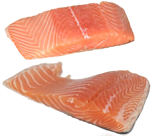 salmón