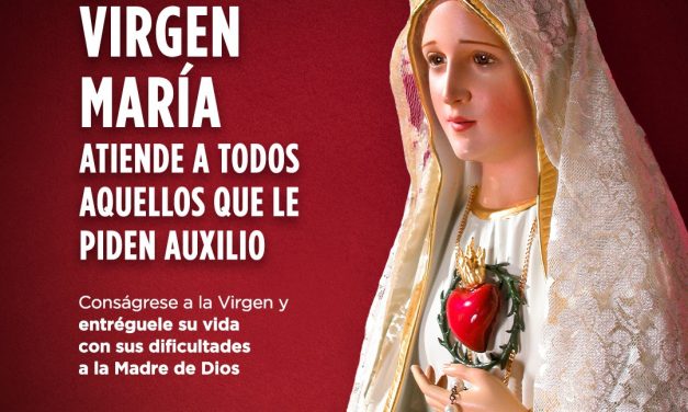 Curso online de Consagración a la Santísima Virgen: ¿cuándo comienza?